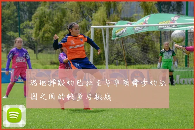 泥地摔跤的巴拉圭与华丽舞步的法国之间的较量与挑战